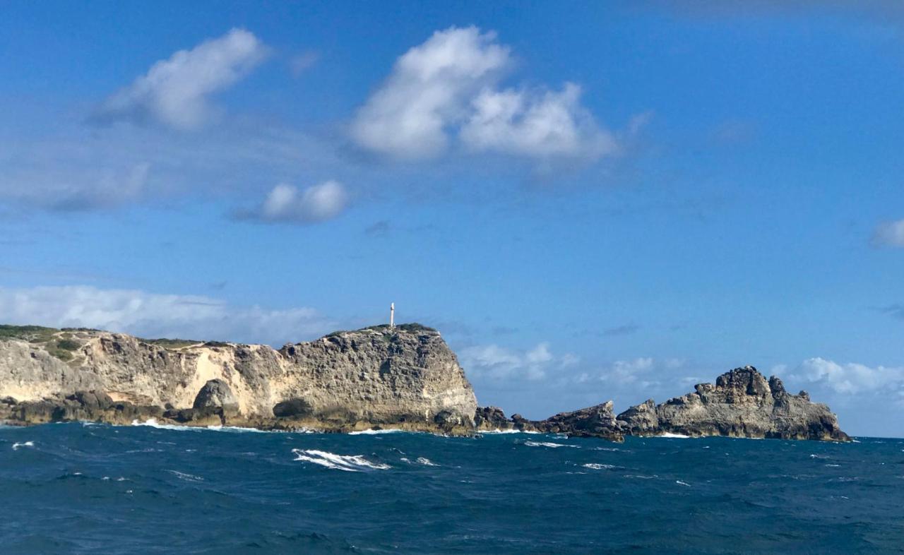 Villa Coco Paradise A 800M De La Mer 圣弗朗索瓦 外观 照片